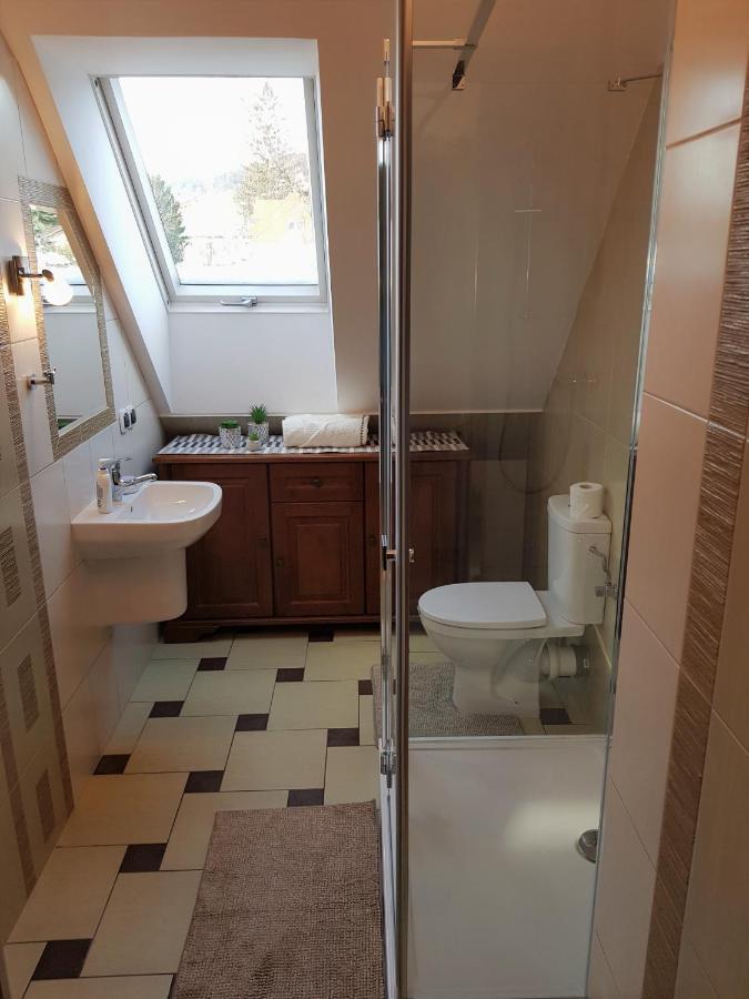 Apartament W Sercu Ustrzyk Apartment Ustrzyki Dolne Bagian luar foto